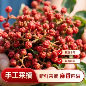 鲜花椒麻辣柴火辣椒面贵州特产烧烤蘸水烙锅火锅辣椒面蘸水AA