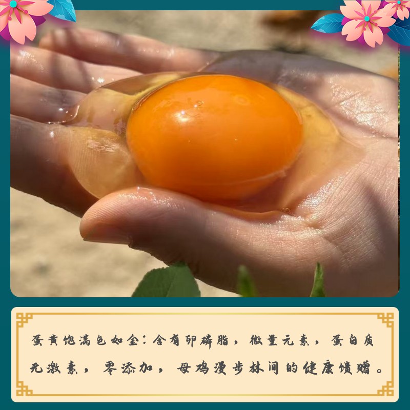 〖乌鸡绿壳蛋〗安徽九华山高山树林农家散生态新鲜乌鸡蛋土鸡蛋