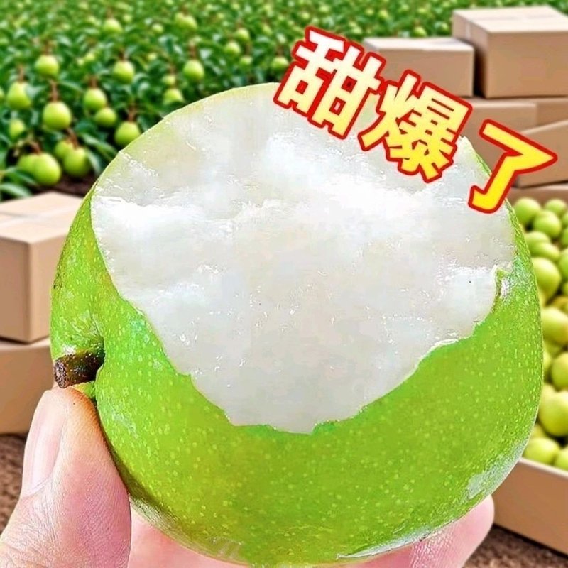新鲜砀山青梨蜜梨脆甜多汁新鲜水果脆甜无渣皮薄水果梨子汁水足
