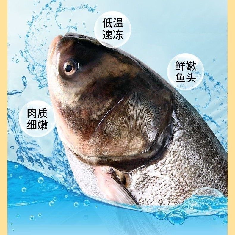 原生态养殖活鱼现杀水库鲜嫩鲢鱼头500g-600g/ 4个
