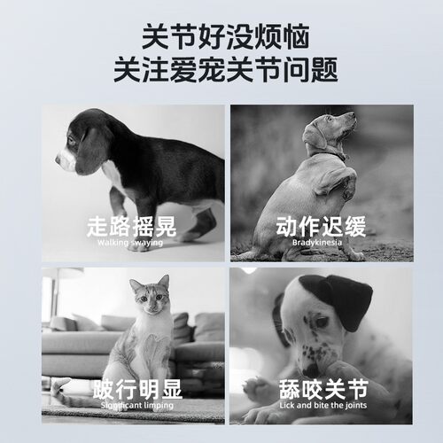 回盛宠物氨糖姜黄鲨鱼软骨素狗狗猫咪专用关节保护补钙健骨胶原