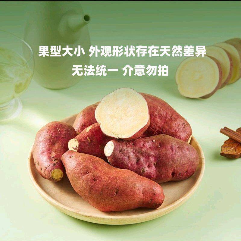 龙九红薯9斤软糯蜜薯农家沙地番薯老人小孩辅食健身黄心蔬菜地瓜