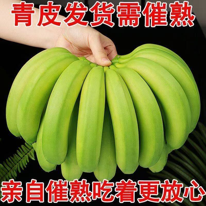 青皮香蕉广西高山种植自然成熟甜香蕉软糯香甜新鲜水果3/5斤