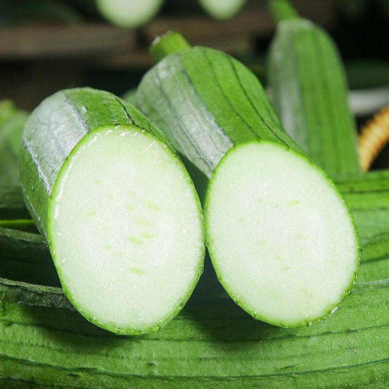 【老品种】现摘丝瓜新鲜湖北农家露天自种蔬菜奶油丝瓜价包邮