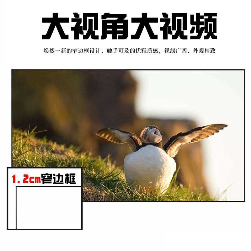 超窄边框100寸 16:9高清软白画框幕豪华家庭影院投影幕布