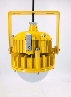 BPC8767LED免维护防爆投光灯波应急石油化工平台灯