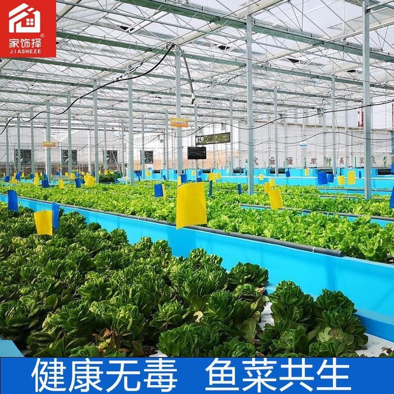 卫生间防水涂料长期泡水补漏神器鱼缸漏水补缝胶防漏水池材料