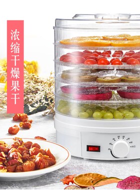 家用小户型干果机食物脱水风干机水果蔬菜宠物肉类食品烘干机