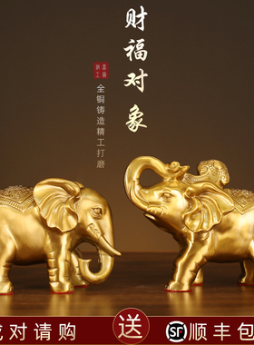 铜象摆件一对财福对象吉象吸水象吸财大象客厅桌面风水铜器摆件