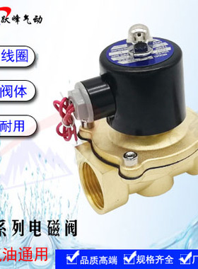 电磁阀2W025-08 2W160-15(4分)2W250-25/2W500-50 2W400-40热水阀