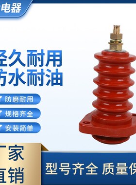 10KV 高压电机接线柱绝缘子瓷瓶 矿用防爆电机 高压接线柱 6kv.