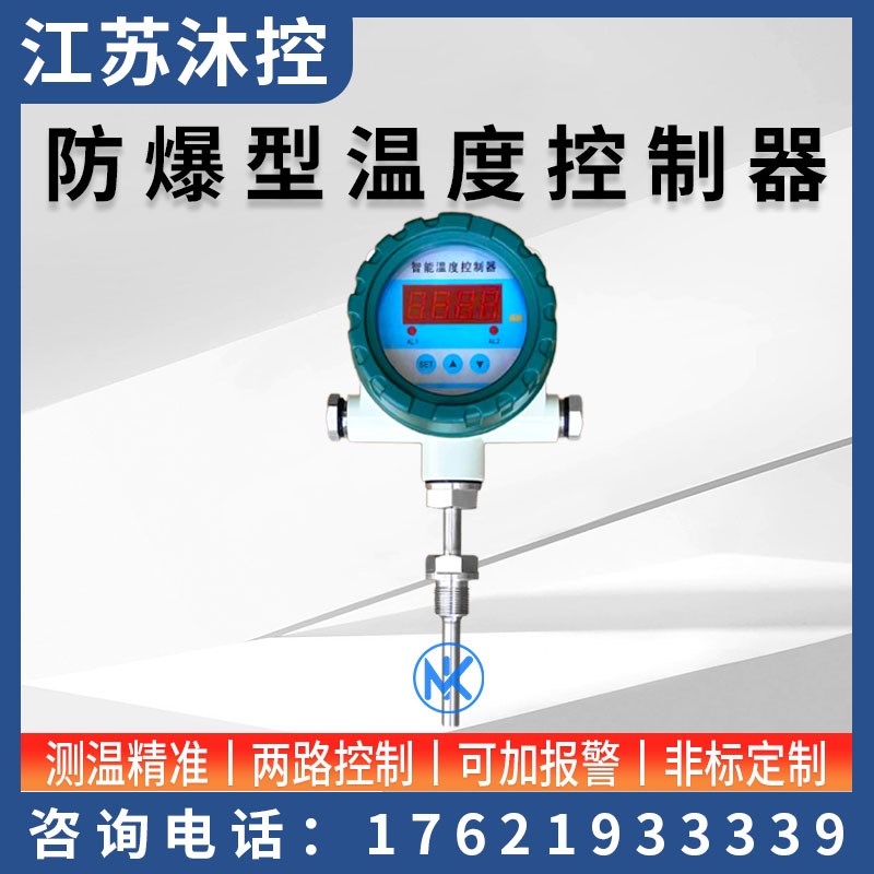防爆型温度声光报警仪开关智能数显控制仪一体式双输出温度传感器