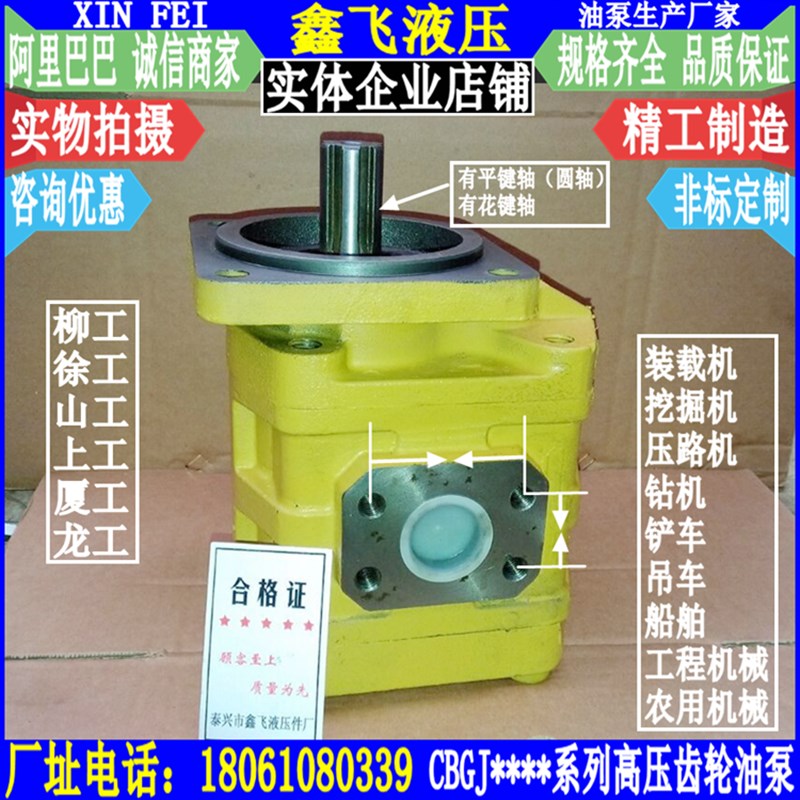 CBGJ2063高压齿轮油泵CBGJb2080山工CBGJA2100龙JHP柳工装载机泵