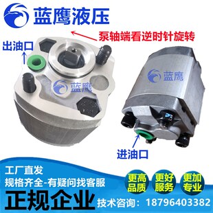 F6.8 F6.0 F7.0 F7.8 5.0F高压齿轮油泵F5.8L CBK F8.0动力单元