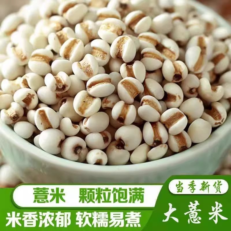 薏仁米薏米仁新货煮粥喝搭配赤豆