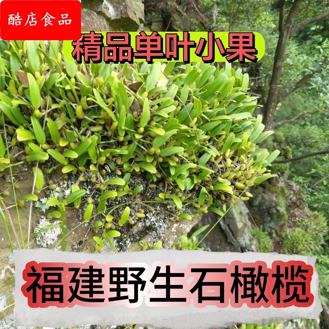 石橄榄新鲜福建石橄榄单叶石仙桃炖汤补品小号福建小果石橄榄