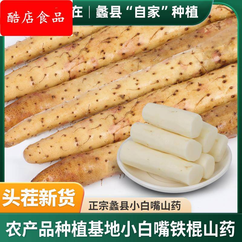 河北土特产小白嘴山药蔬菜铁棍山药产地直发精心挑选5斤包邮