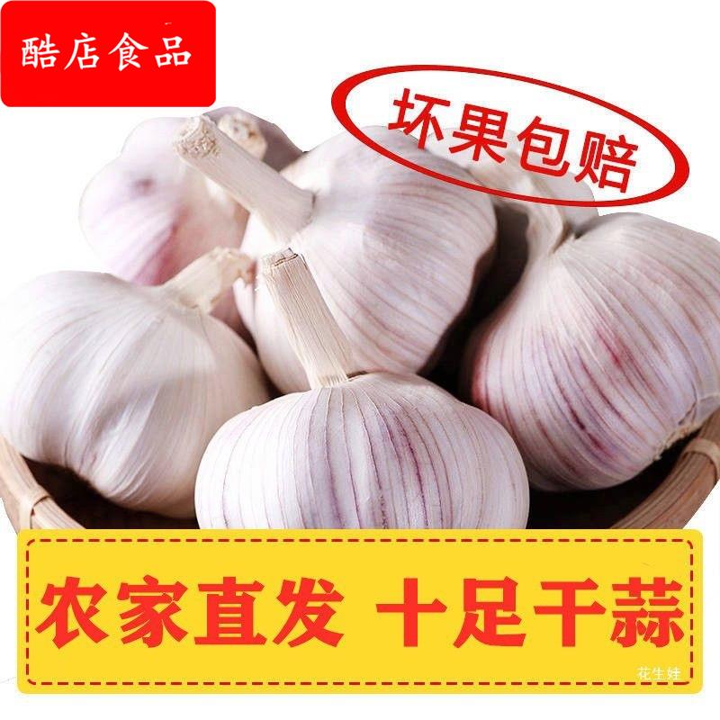 非新鲜大蒜干蒜斤独头蒜大蒜低价大蒜斤蒜头5斤农家大1干10干