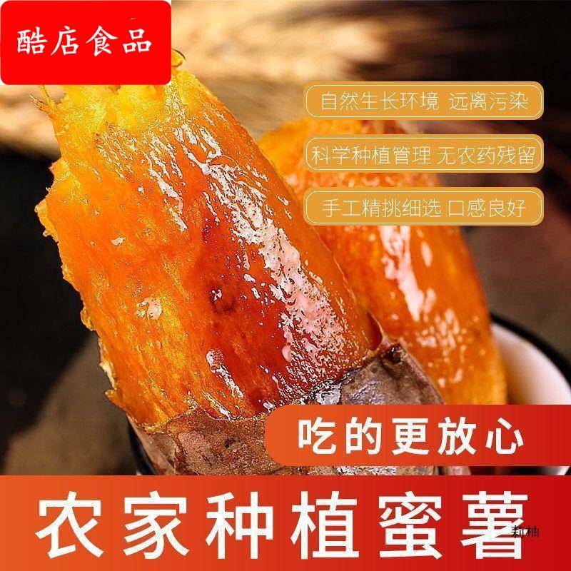 红薯山东烟薯25蜜薯糖心红心流油地瓜新鲜农家沙地山芋烤番薯10斤