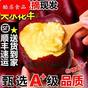 顺丰甘肃天水花牛粉面沙甜苹果婴儿辅食刮泥苹果老人吃面苹果