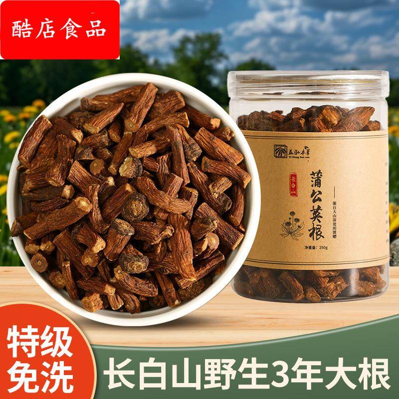 蒲公英茶炒熟纯根茶长白山蒲公英散结茶500婆婆丁茶泡水中