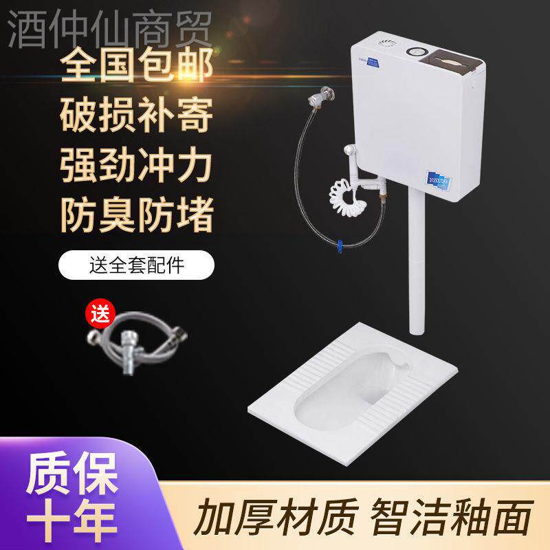 家器用陶瓷蹲便器冲水箱装整套大池便器防臭蹲厕蹲套坑FWW便蹬便