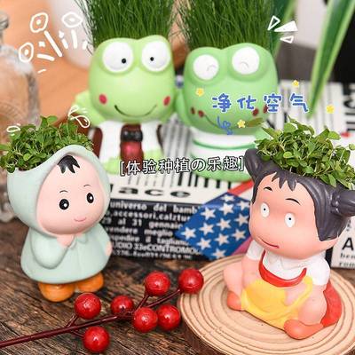 儿童小盆栽草头娃娃幼儿园观察植物猫草发芽龙猫青蛙学生奖品礼物