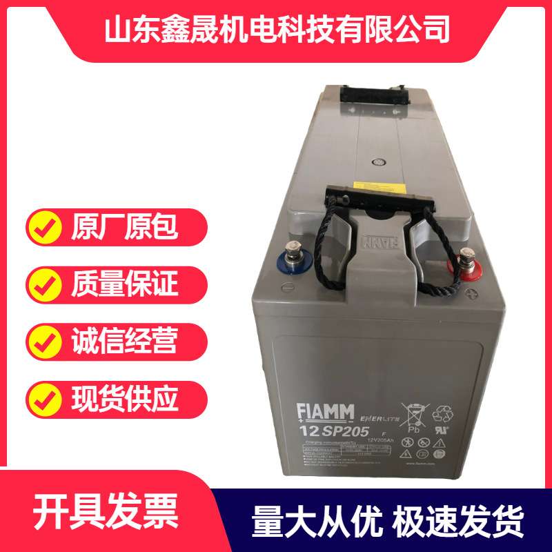 12SP205 12V20H 非凡铅酸蓄电池免维护型大容量充电工业