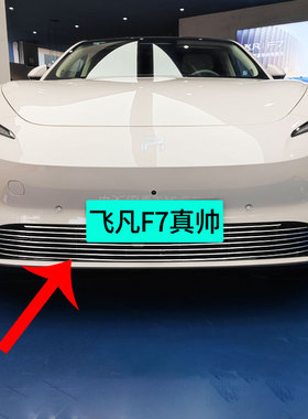 飞凡F7中网前脸外观改装件前铲护C杠专用装饰条防虫网汽车用品配