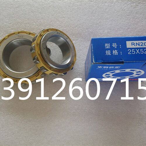 爆款减速机 整体偏心轴承RN205 206 307 219 309 310 312 208 215