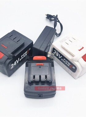 洁云 弛臣 特忆12V24V48VF无线洗车机高压水枪充电式锂电池充电器