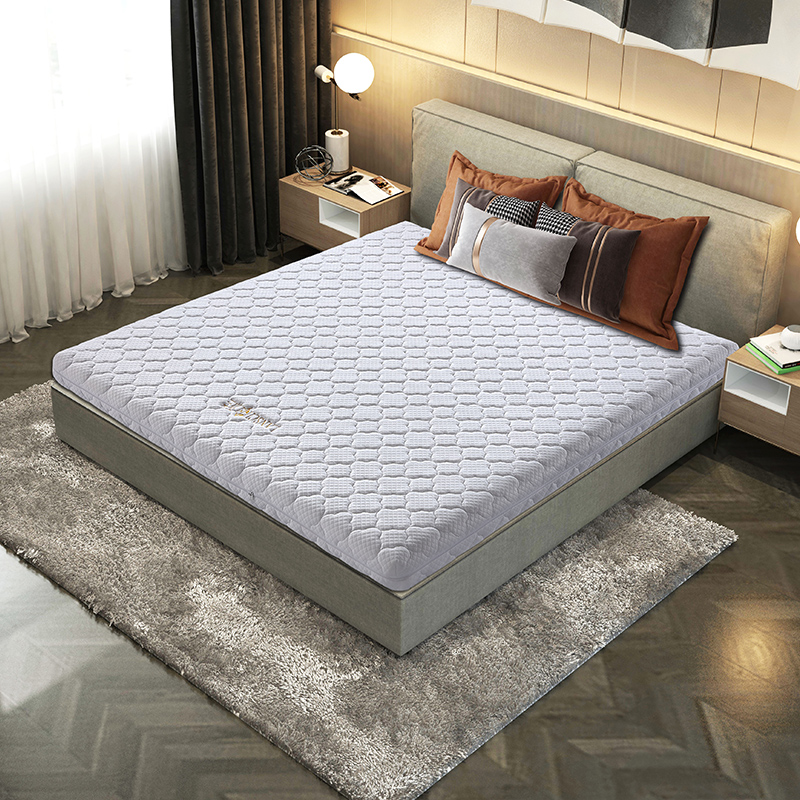 派兰乳胶环保棕3e椰棕天然椰棕垫全棕榈床垫硬棕6cm8cm10厘米拆洗