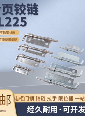 CL225 304不锈钢弹簧铰链插销HL035机箱柜平板门轴合页门轴下座