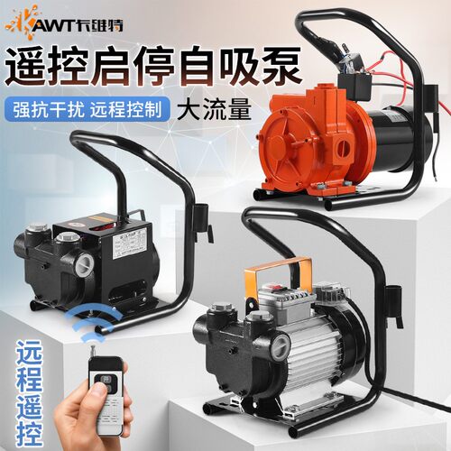 电动抽油泵遥控启停加油机r柴油12v24v220v伏车载小型加油抽油设