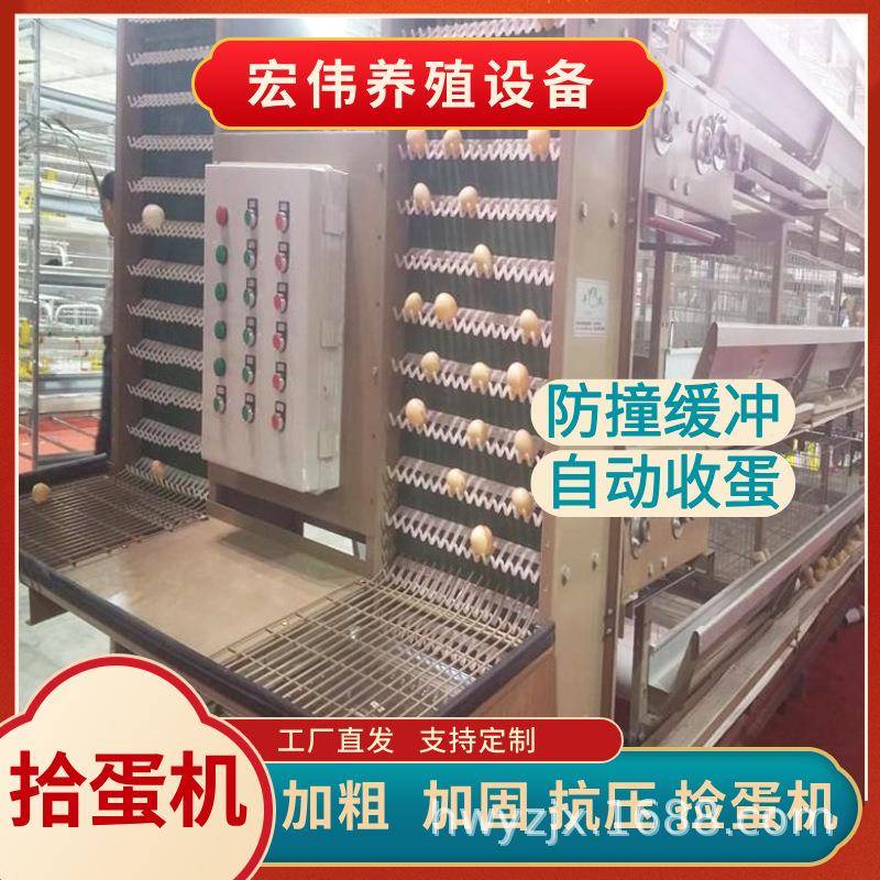 一体化养殖设备养殖设备鸡舍自动化捡蛋设备