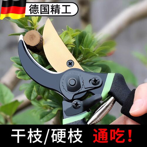 修枝剪园艺剪刀剪树枝专用园B林修剪果树修枝花艺修花剪刀