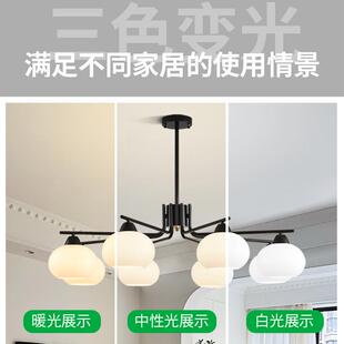 大厅客厅吊灯浪漫风南洋美式古风餐厅主灯法式中卧室灯具无