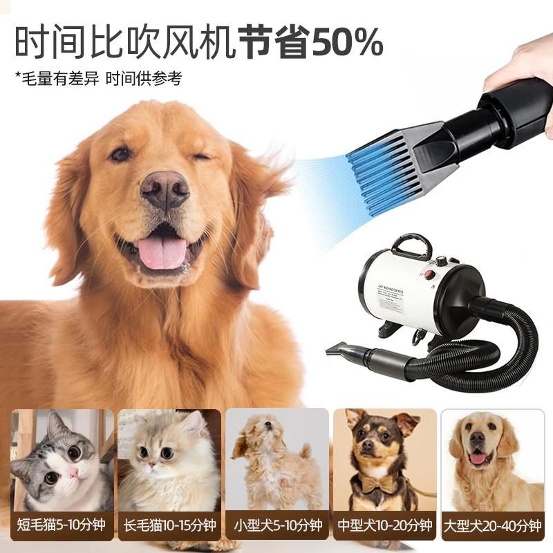 宠物吹水机狗狗商用家用吹风机大功率静音狗猫咪烘干吹毛神器
