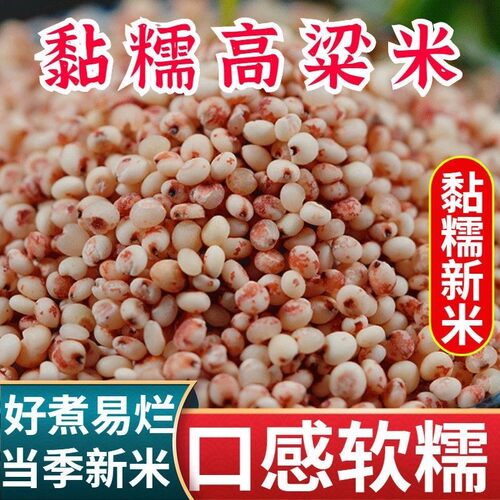 东北黏糯红高粱粘高粱五谷杂粗粮