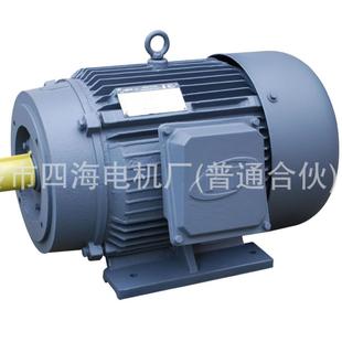 高效三相异步电机YE2 255W 250M