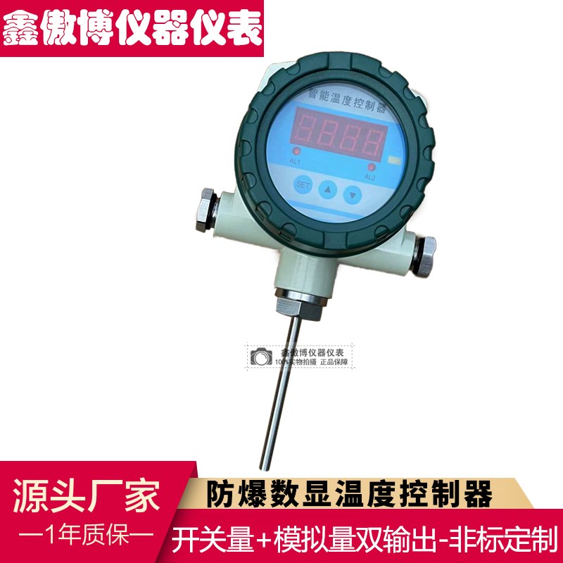 防爆型温度声光报警仪开关智能数显控制仪一体式双输出温度传感器