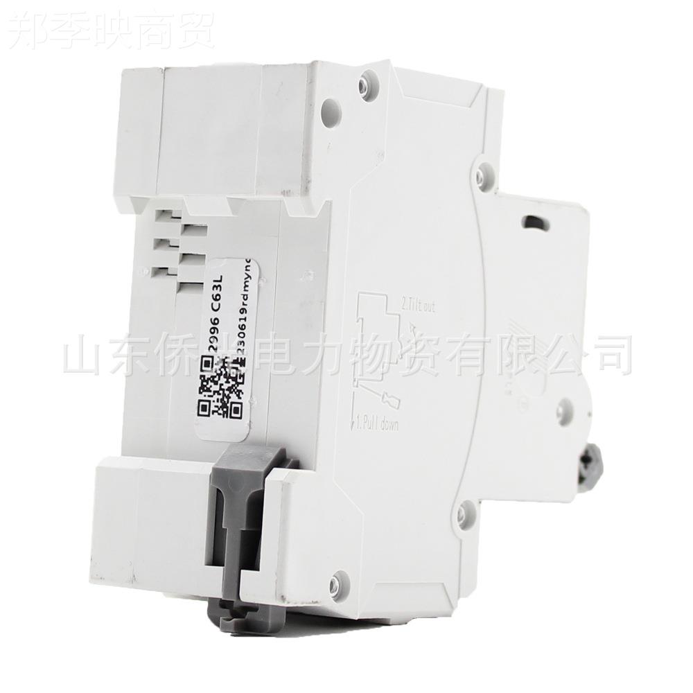 人电开器漏电保护器R2DB5LE-63YP63A一体式漏电关NXCFNBLE-民63Y