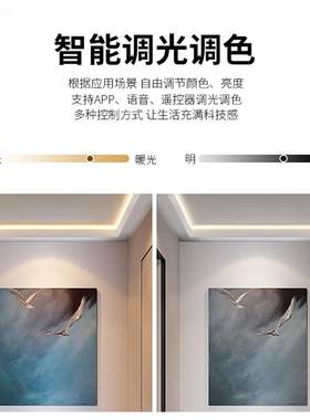 涂鸦智能20W040DMD2B2-2W双3色温调光调色语音APWP控D制大功率LE