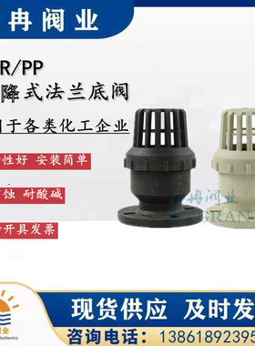 PPR RPP 防腐 耐酸 塑料法兰 丝口承插底阀DN40 50 65 80 100 150