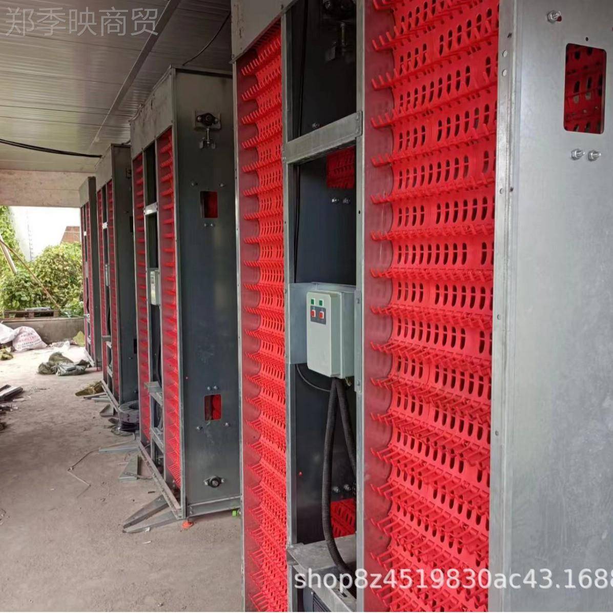 小层叠蛋镀鸡笼热锌丝鸡笼 层叠式框架捡自全动清YOP粪蛋养殖设备