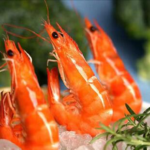 有机生态熟虾白灼虾盐田熟虾凡纳滨对虾聚餐下酒加热即食送礼500g