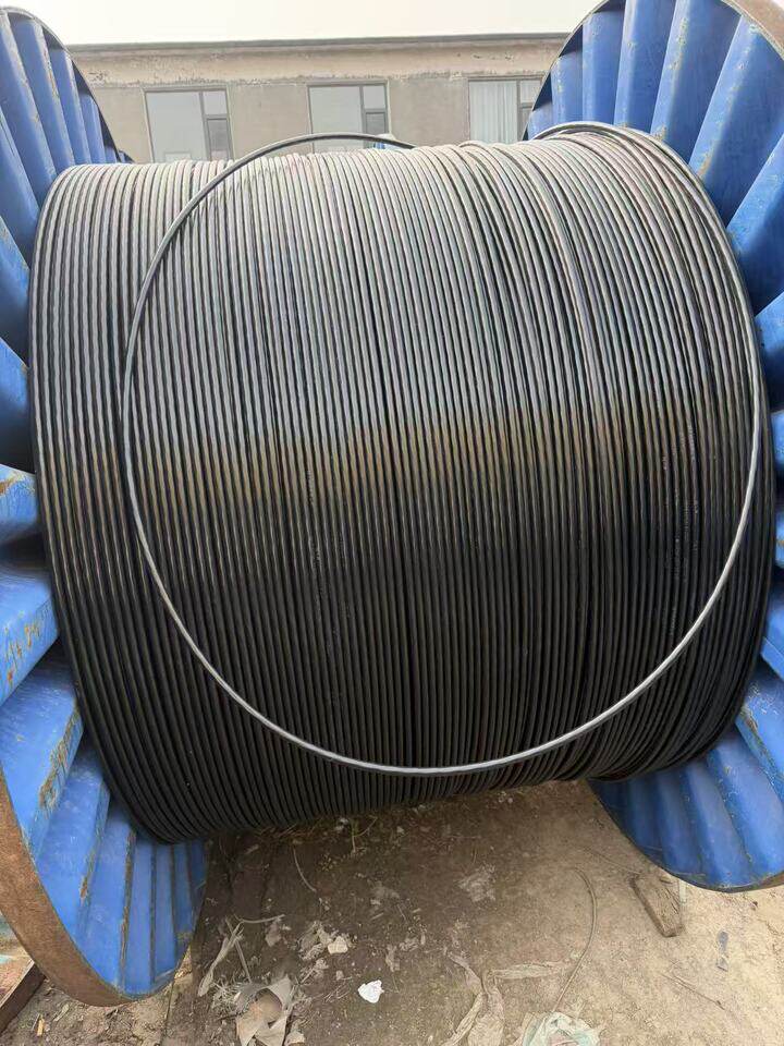 3月24日济南电力电缆YJLV-型号：1×50长度：1000mDL507可邮寄处置单位支持发货，运费和发货流程见详情页网络拍卖公告