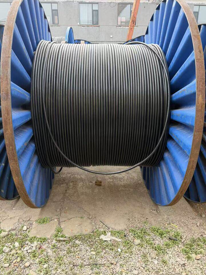 4月10日济南电力电缆YJLV-型号：3×16长度：300mDL387可邮寄处置单位支持发货，运费和发货流程见详情页网络拍卖公告