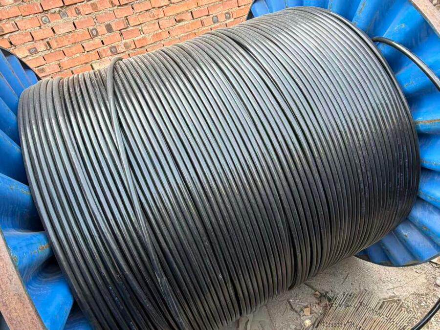 3月30日济南电力电缆YJV-型号：3×10+1×6长度：100mDL3093可邮寄处置单位支持发货，运费和发货流程见详情页网络拍卖公告