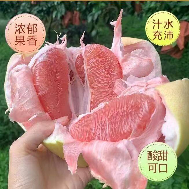 【钰姐专属】正宗福建三红柚头茬鲜果红心蜜柚新鲜水果酸甜多汁坏